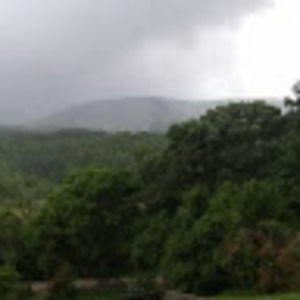 Meet your Posher, Debra